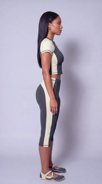 Gray Theory Set